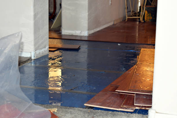 Professional Basement Flood Cleanup technician working in Woodlyn, PA